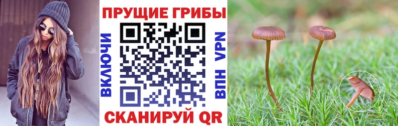 Псилоцибиновые грибы мухоморы  Володарск 